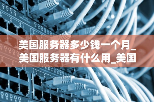 美国服务器多少钱一个月_美国服务器有什么用_美国服务器多少钱一个月？——深入解析服务器租赁费用