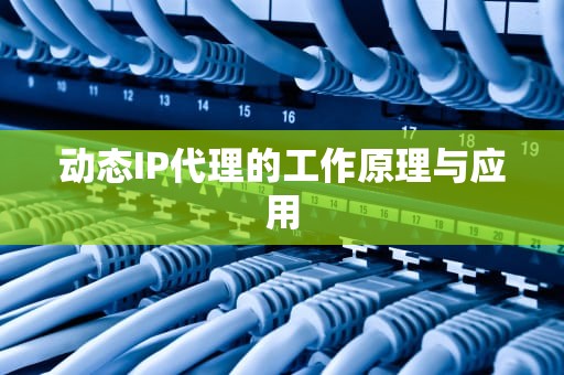 动态IP代理的工作原理与应用