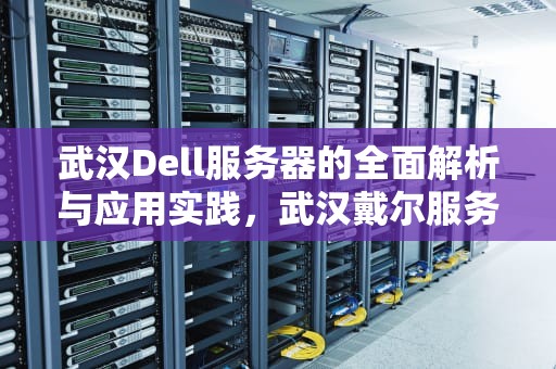 武汉Dell服务器的全面解析与应用实践，武汉戴尔服务器