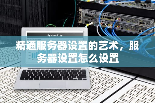 精通服务器设置的艺术，服务器设置怎么设置