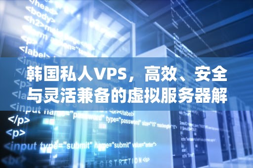 韩国私人VPS，高效、安全与灵活兼备的虚拟服务器解决方案，国内私人vps