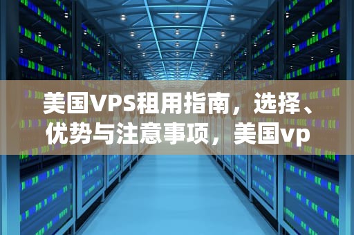美国VPS租用指南，选择、优势与注意事项，美国vps租赁