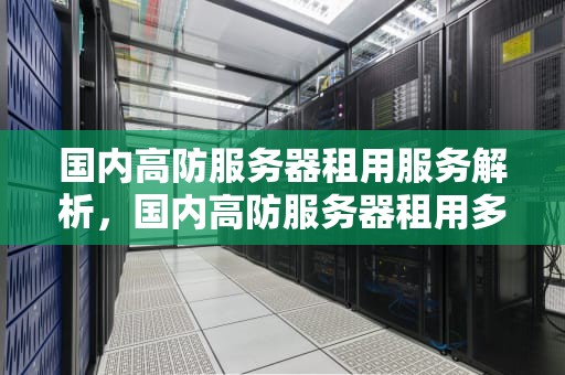 国内高防服务器租用服务解析，国内高防服务器租用多少钱