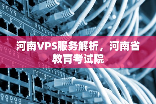 河南VPS服务解析，河南省教育考试院