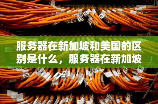 服务器在新加坡和美国的区别是什么，服务器在新加坡和美国的区别是什么呢