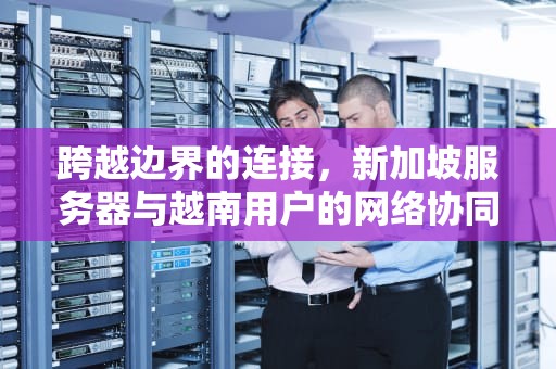 跨越边界的连接，新加坡服务器与越南用户的网络协同策略，服务器在新加坡用户在越南怎么用网络连接