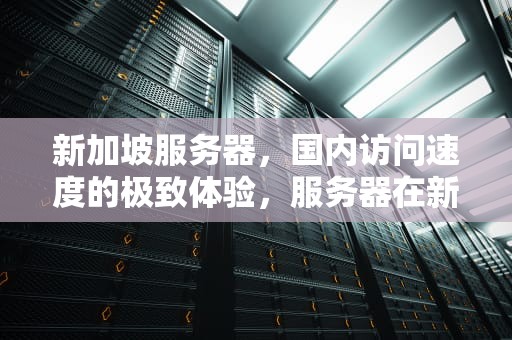 新加坡服务器，国内访问速度的极致体验，服务器在新加坡国内访问速度快吗知乎