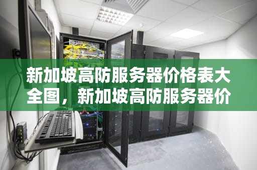 新加坡高防服务器价格表大全图，新加坡高防服务器价格表大全图片
