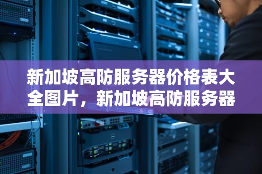 新加坡高防服务器价格表大全图片，新加坡高防服务器价格表大全图片及价格
