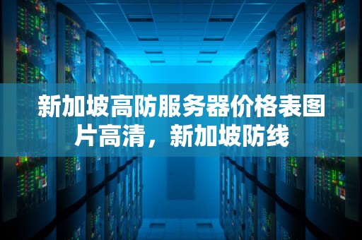 新加坡高防服务器价格表图片高清，新加坡防线