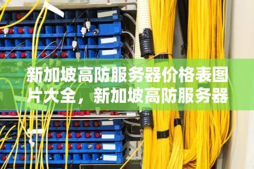 新加坡高防服务器价格表图片大全，新加坡高防服务器价格表图片大全集