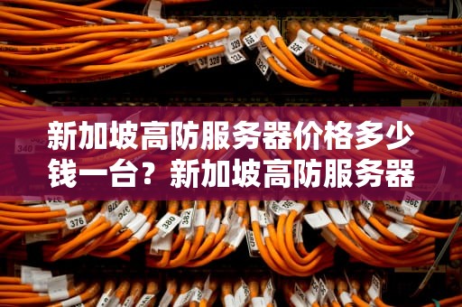 新加坡高防服务器价格多少钱一台？新加坡高防服务器价格多少钱一台手机