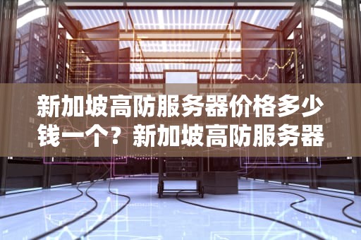 新加坡高防服务器价格多少钱一个？新加坡高防服务器价格多少钱一个小时