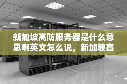 新加坡高防服务器是什么意思啊英文怎么说，新加坡高防服务器是什么意思啊英文怎么说