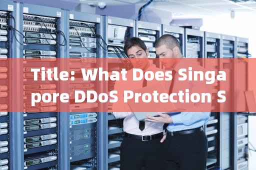 Title: What Does Singapore DDoS Protection Server Mean in English?，新加坡高防服务器是什么意思啊英文翻译