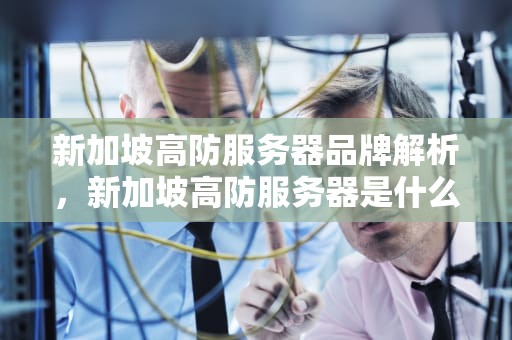 新加坡高防服务器品牌解析，新加坡高防服务器是什么品牌的产品啊