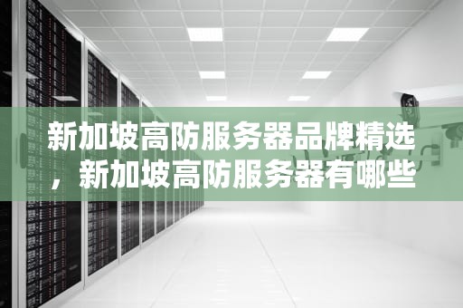 新加坡高防服务器品牌精选，新加坡高防服务器有哪些牌子好用的