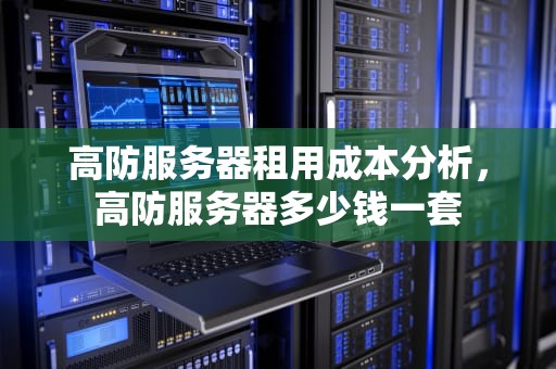 高防服务器租用成本分析，高防服务器多少钱一套