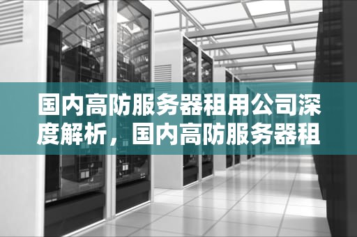 国内高防服务器租用公司深度解析，国内高防服务器租用公司有哪些品牌