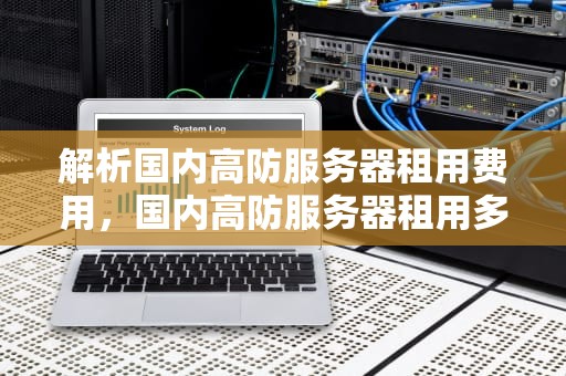 解析国内高防服务器租用费用，国内高防服务器租用多少钱一个月啊