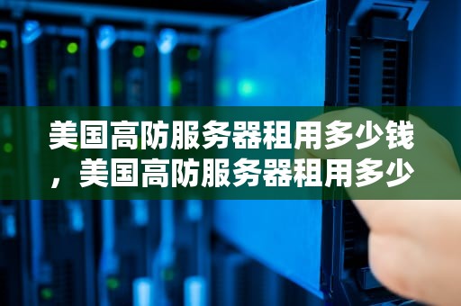 美国高防服务器租用多少钱，美国高防服务器租用多少钱一个月