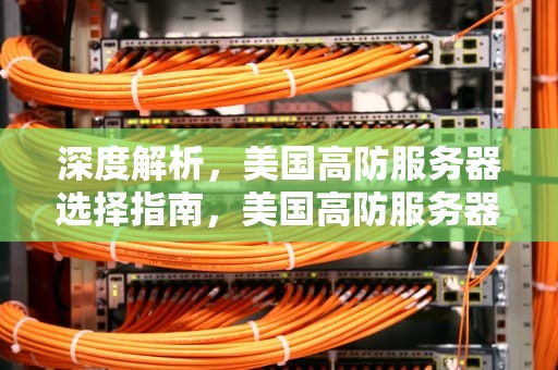 深度解析，美国高防服务器选择指南，美国高防服务器哪家好一点啊