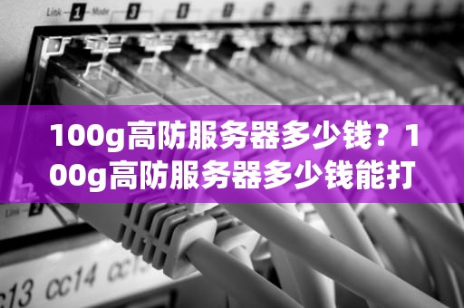 100g高防服务器多少钱？100g高防服务器多少钱能打死