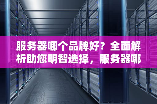 服务器哪个品牌好？全面解析助您明智选择，服务器哪个品牌好一点