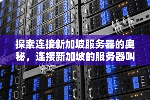 探索连接新加坡服务器的奥秘，连接新加坡的服务器叫什么名字