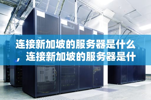 连接新加坡的服务器是什么，连接新加坡的服务器是什么意思