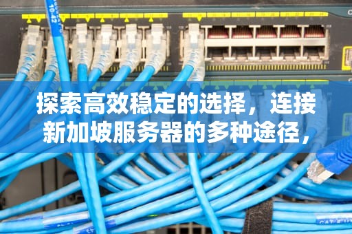 探索高效稳定的选择，连接新加坡服务器的多种途径，连接新加坡的服务器有哪些品牌
