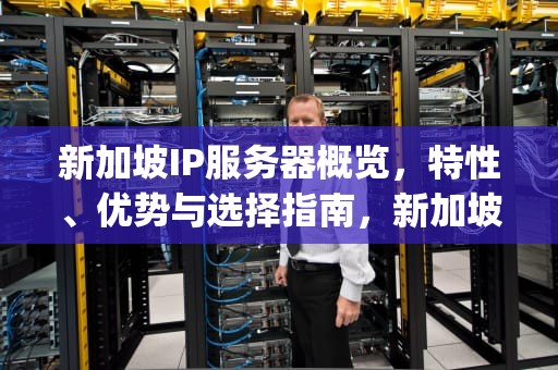新加坡IP服务器概览，特性、优势与选择指南，新加坡ip服务器有哪些品牌