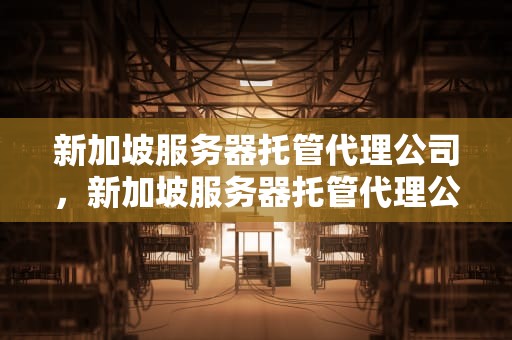 新加坡服务器托管代理公司，新加坡服务器托管代理公司有哪些