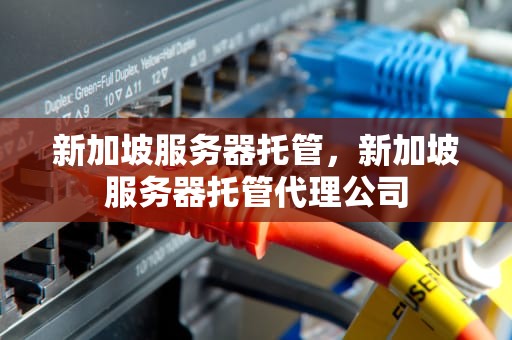 新加坡服务器托管，新加坡服务器托管代理公司