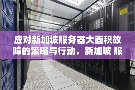 应对新加坡服务器大面积故障的策略与行动，新加坡 服务器大面积故障怎么处理的