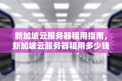 新加坡云服务器租用指南，新加坡云服务器租用多少钱