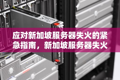应对新加坡服务器失火的紧急指南，新加坡服务器失火怎么办啊