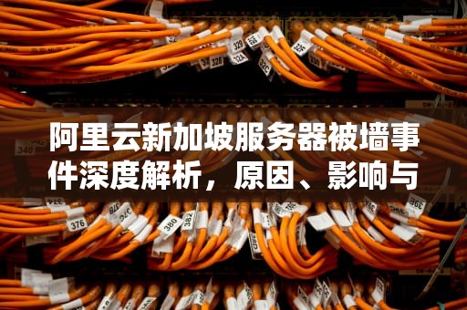阿里云新加坡服务器被墙事件深度解析，原因、影响与应对策略，阿里云新加坡服务器怎么样