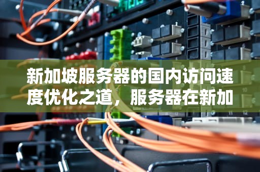 新加坡服务器的国内访问速度优化之道，服务器在新加坡国内访问速度多少