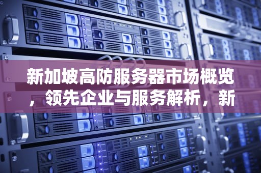 新加坡高防服务器市场概览，领先企业与服务解析，新加坡高防服务器有哪些公司生产的