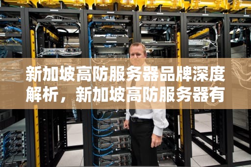 新加坡高防服务器品牌深度解析，新加坡高防服务器有哪些品牌的