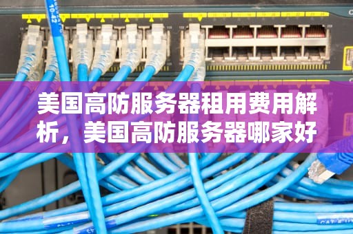 美国高防服务器租用费用解析，美国高防服务器哪家好