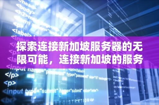 探索连接新加坡服务器的无限可能，连接新加坡的服务器有哪些
