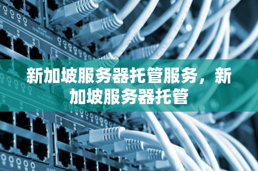 新加坡服务器托管服务，新加坡服务器托管