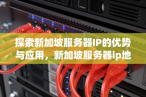 探索新加坡服务器IP的优势与应用，新加坡服务器ip地址