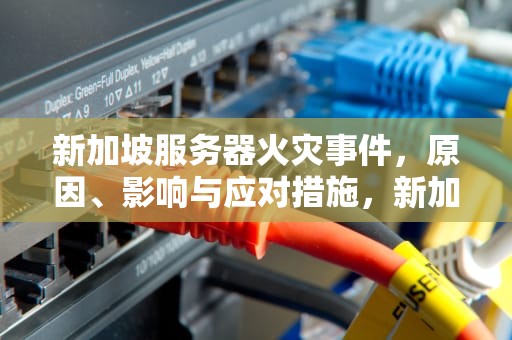 新加坡服务器火灾事件，原因、影响与应对措施，新加坡 服务器