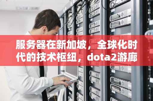 服务器在新加坡，全球化时代的技术枢纽，dota2游廊服务器在新加坡