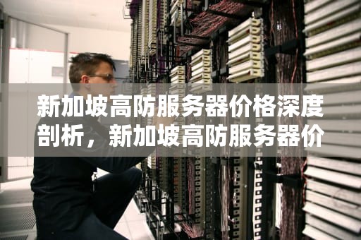新加坡高防服务器价格深度剖析，新加坡高防服务器价格多少钱