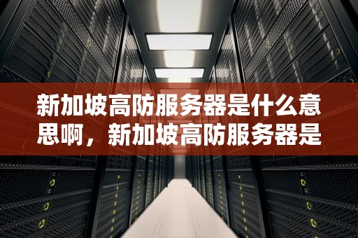 新加坡高防服务器是什么意思啊，新加坡高防服务器是什么意思啊