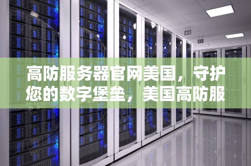高防服务器官网美国，守护您的数字堡垒，美国高防服务器哪家好